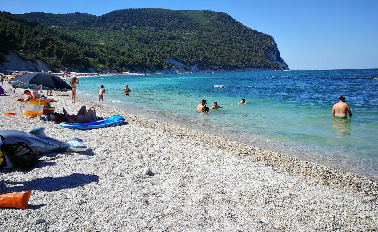 Photo de Plage San Michele avec caillou fin clair de surface