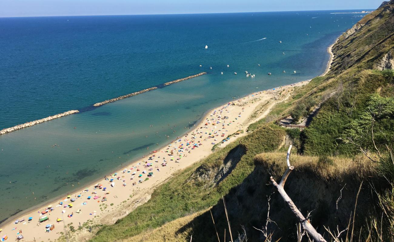 Photo de Fiorenzuola di Focara Beach avec sable beige de surface