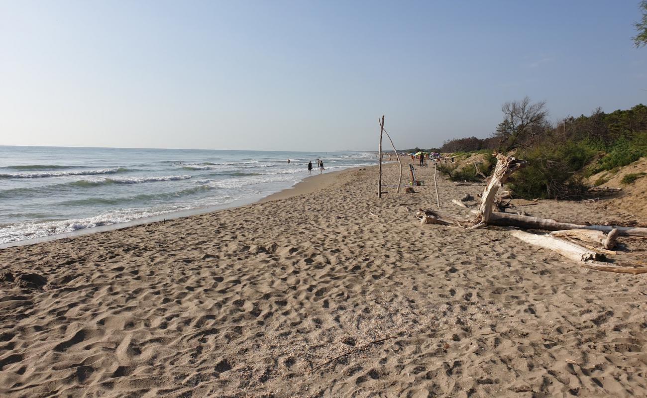 Photo de Lido di Dante Beach avec sable beige de surface