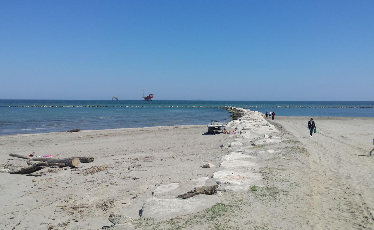 Photo de Lido DI Dante avec sable lumineux de surface