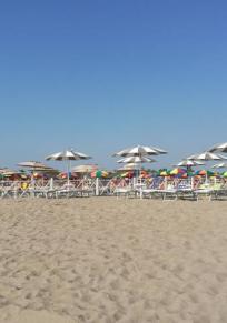 Province de Rovigo