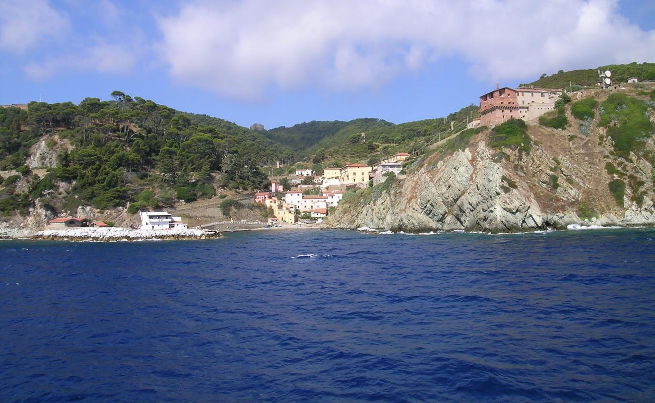 Photo de Gorgona Island beach avec sable beige de surface