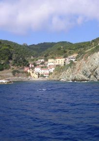 Île de Gorgone