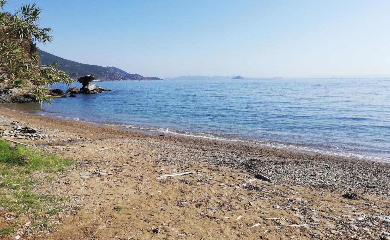Photo de Marina beach avec sable beige & galets de surface