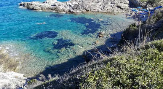 Capo d'arco