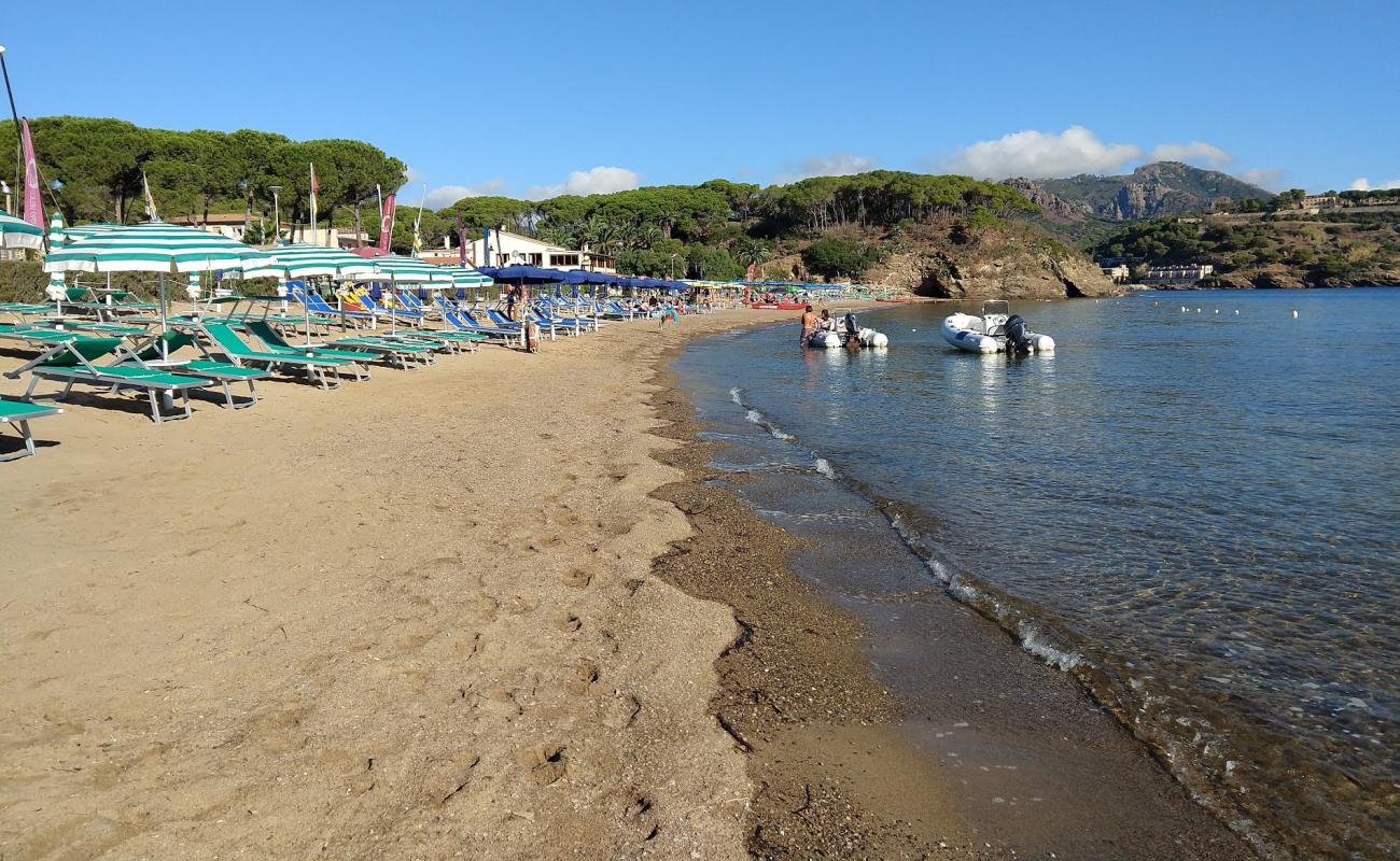 Photo de Naregno beach avec sable lumineux de surface