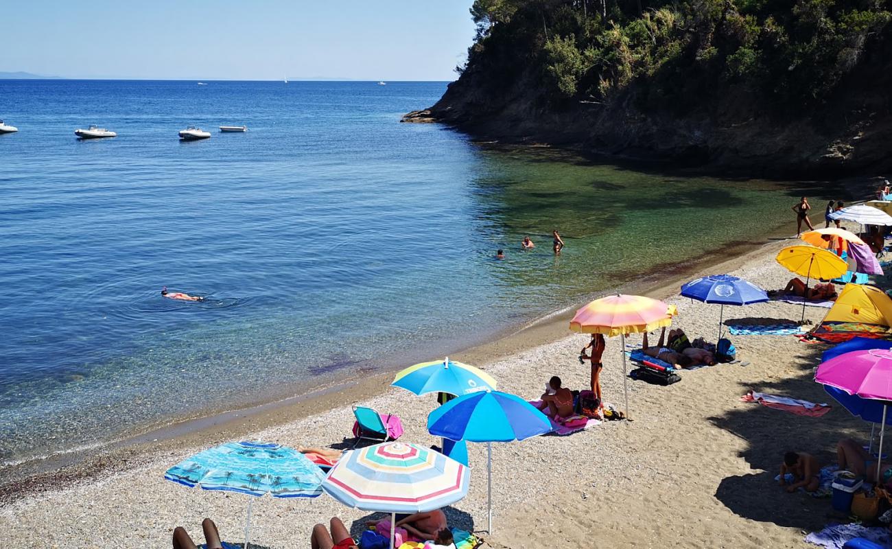 Photo de Capo Perla beach avec caillou clair de surface