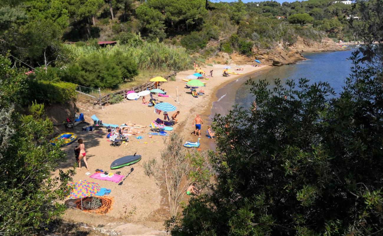 Photo de Ferrato beach avec petits galets beige de surface
