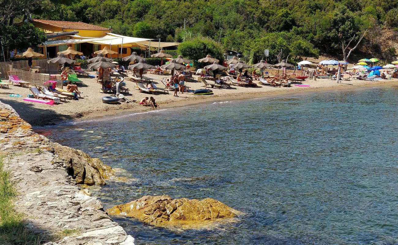 Photo de Spiaggia di Calanova avec sable beige & galets de surface
