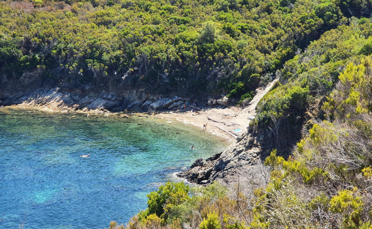 Photo de Spiaggia di Punta Nera avec sable noir de surface