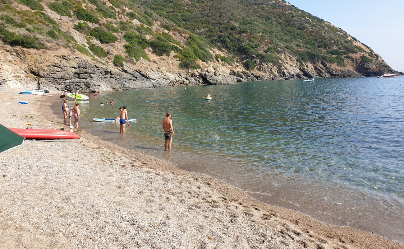 Photo de Plage de Remaiolo avec caillou fin brun de surface