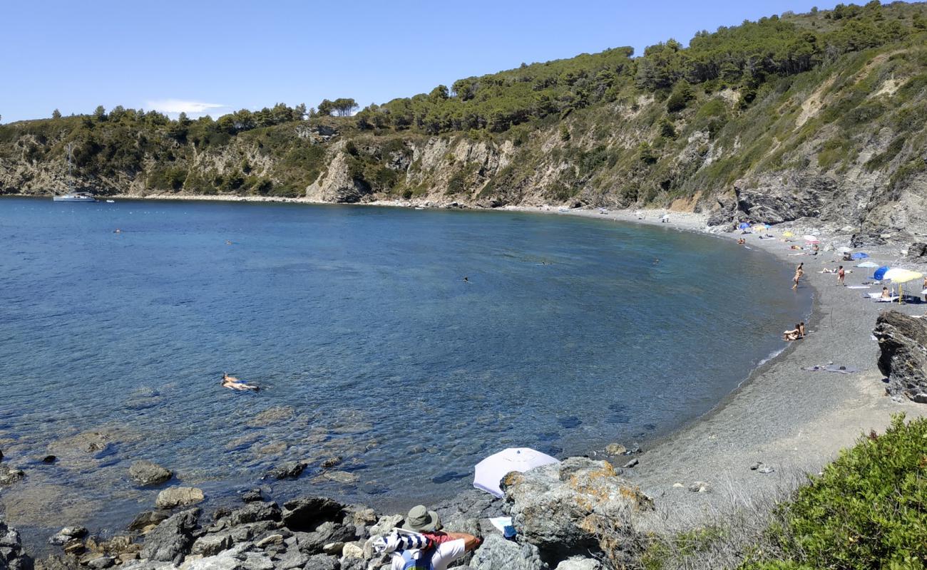 Photo de Spiaggia Di Acquarilli avec caillou noir de surface