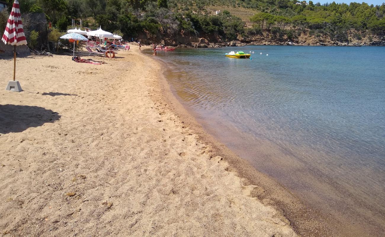 Photo de Spiaggia di Galenzana avec caillou fin clair de surface