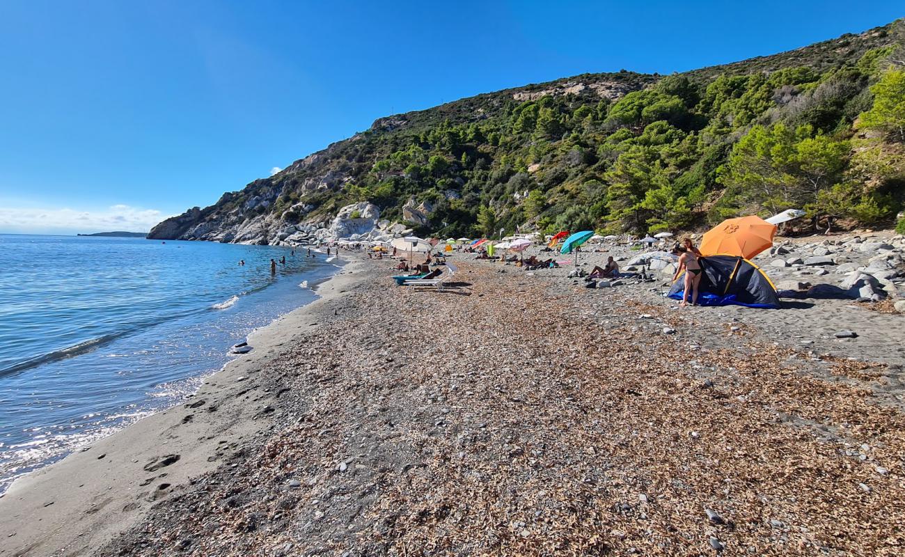 Photo de Palombaia Beach avec caillou gris de surface