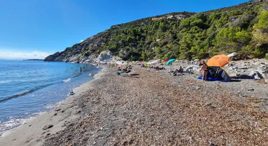 Palombaia Beach