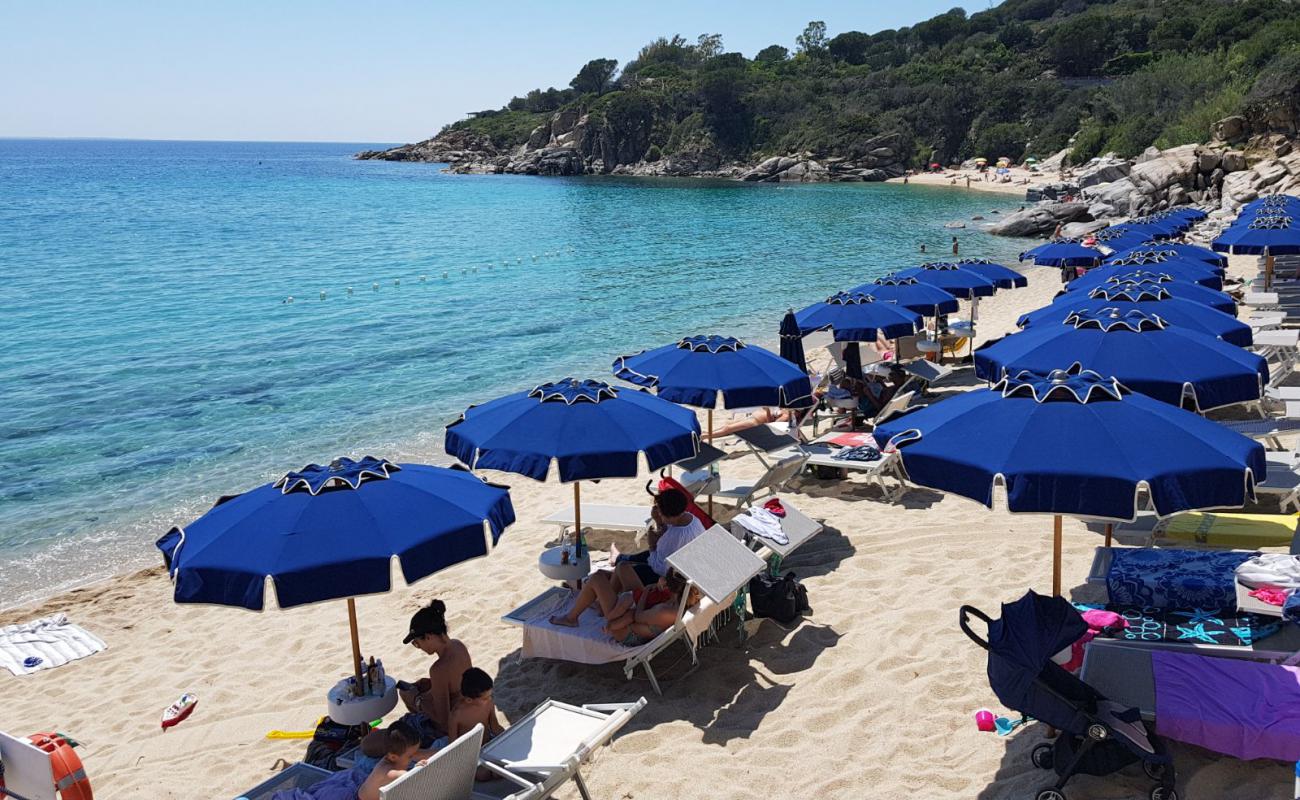 Photo de Plage de Cavoli avec sable fin et lumineux de surface