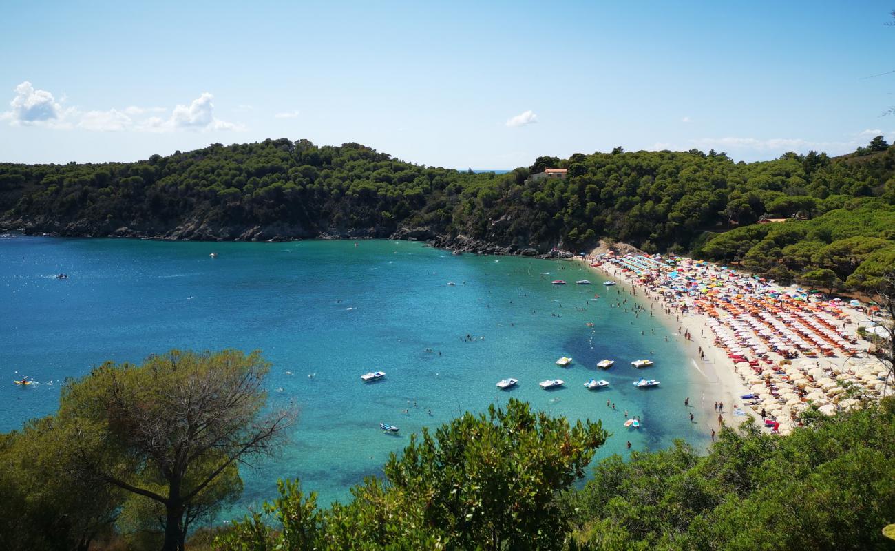 Photo de Plage de Fetovaia avec sable beige de surface