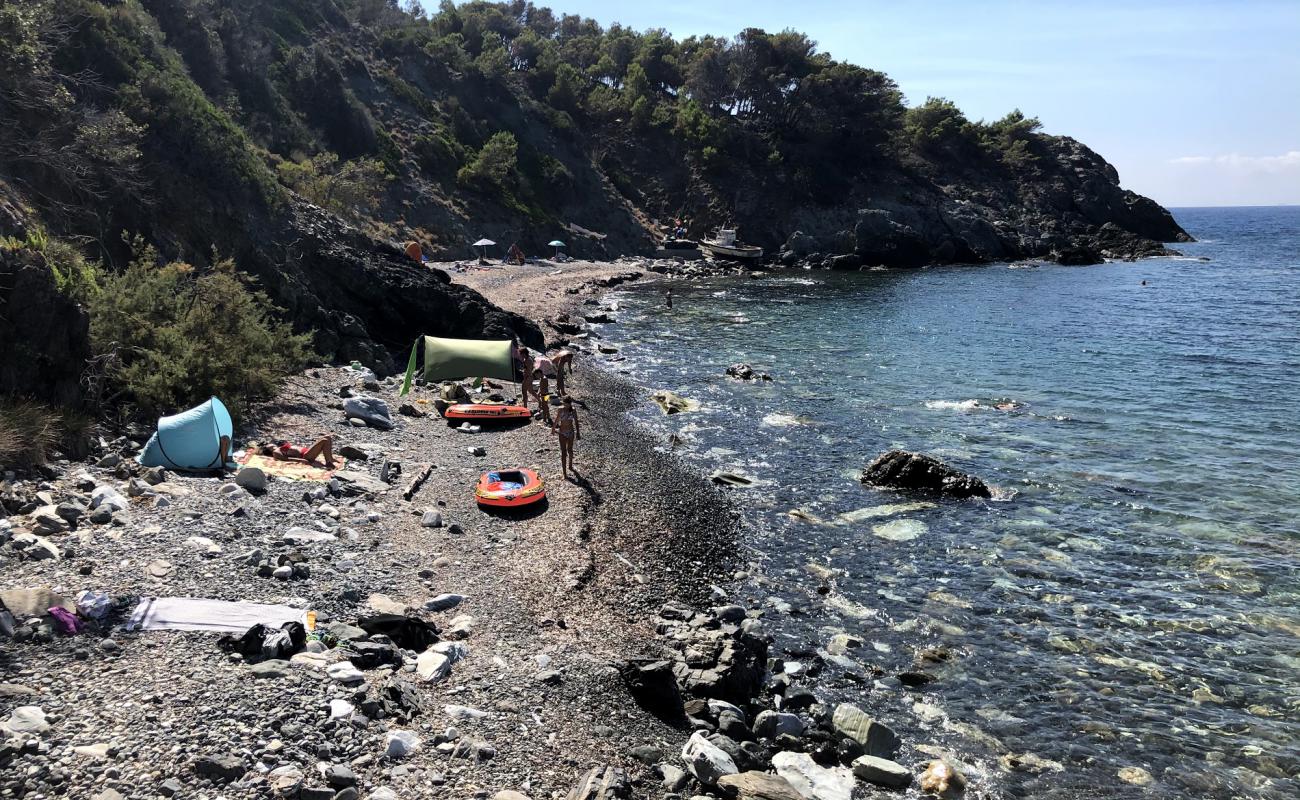Photo de Spiaggia dell'Ogliera avec galets beige de surface