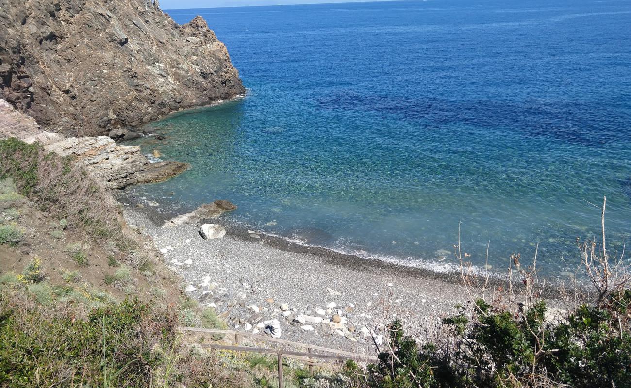 Photo de Punta Polveraia Beach avec galets gris de surface