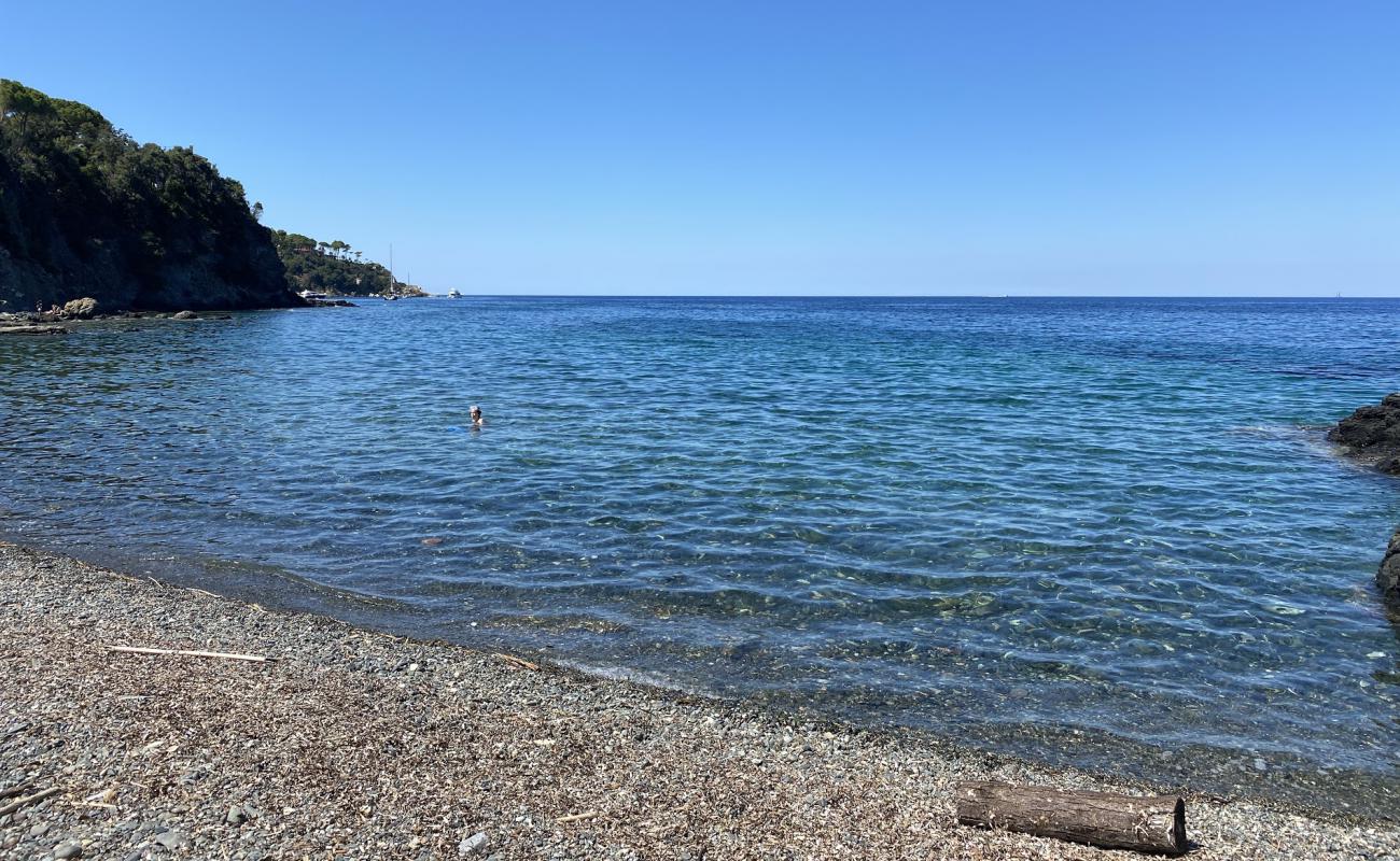 Photo de Spiaggia del Bagno avec caillou gris de surface