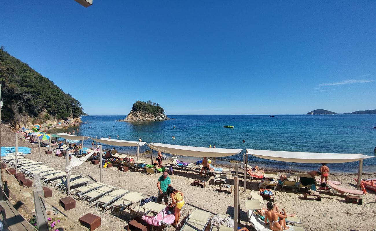 Photo de Spiaggia della Paolina avec caillou clair de surface