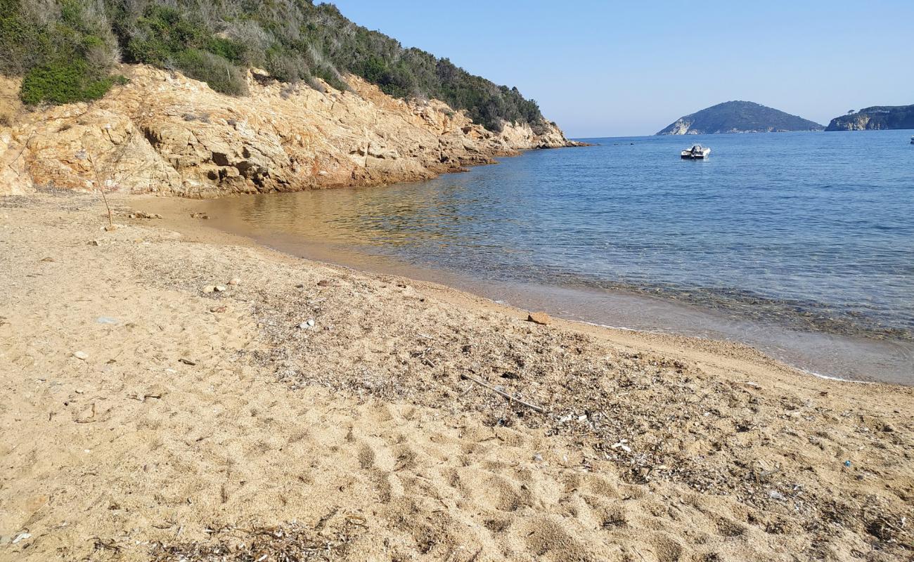 Photo de Spiaggetta del Porticciolo avec caillou fin clair de surface