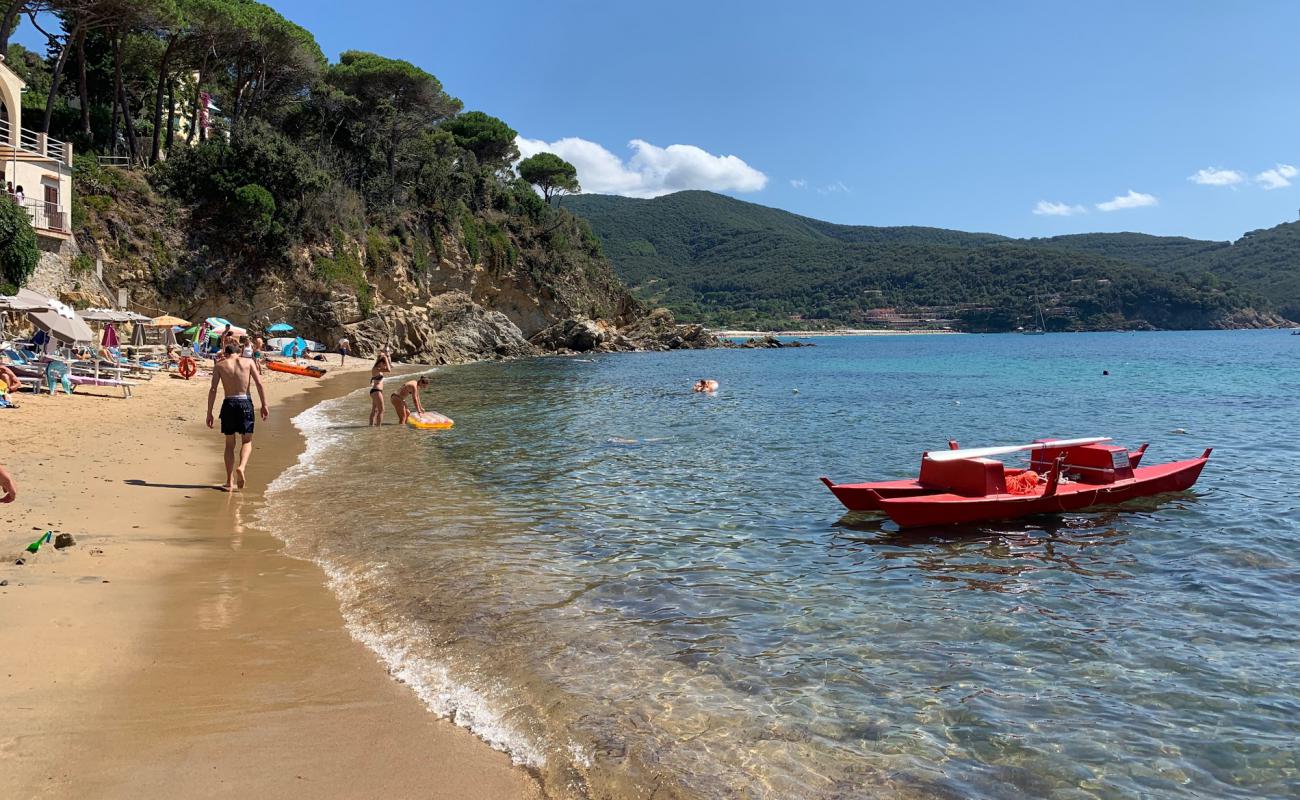 Photo de Plage de Forno avec sable lumineux de surface