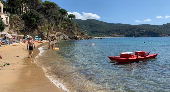 Plage de Forno