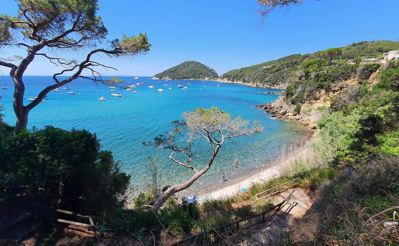 Photo de Spiaggia del Viticcio avec caillou gris de surface