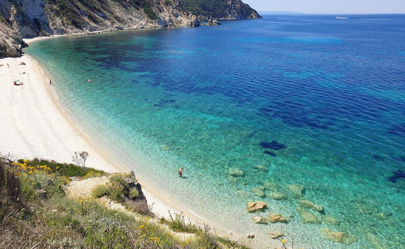 Photo de Plage de Sansone avec caillou fin blanc de surface