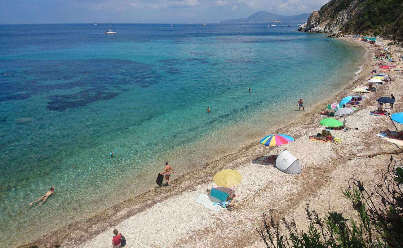 Photo de Spiaggia di Seccione avec caillou blanc de surface