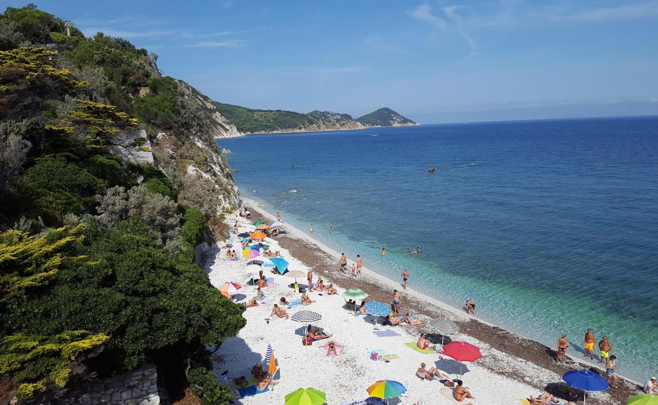 Photo de Plage de Capo Bianco avec sable coquillier blanc de surface