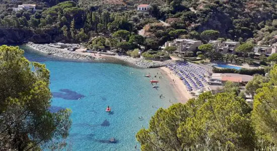 Plage de Cannelle