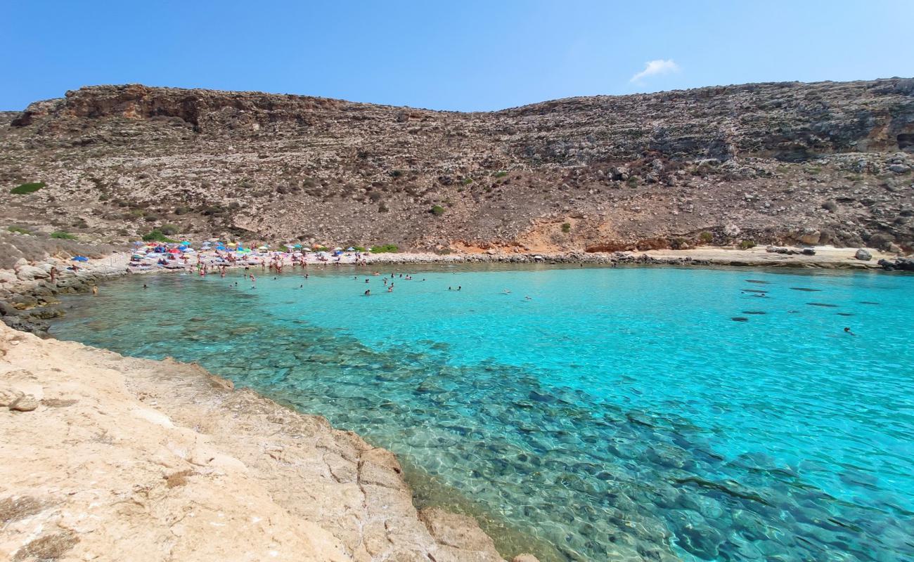 Photo de Cala Pulcino avec roches de surface