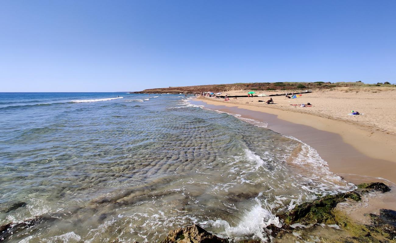 Photo de Pizzuta beach avec sable fin brun de surface