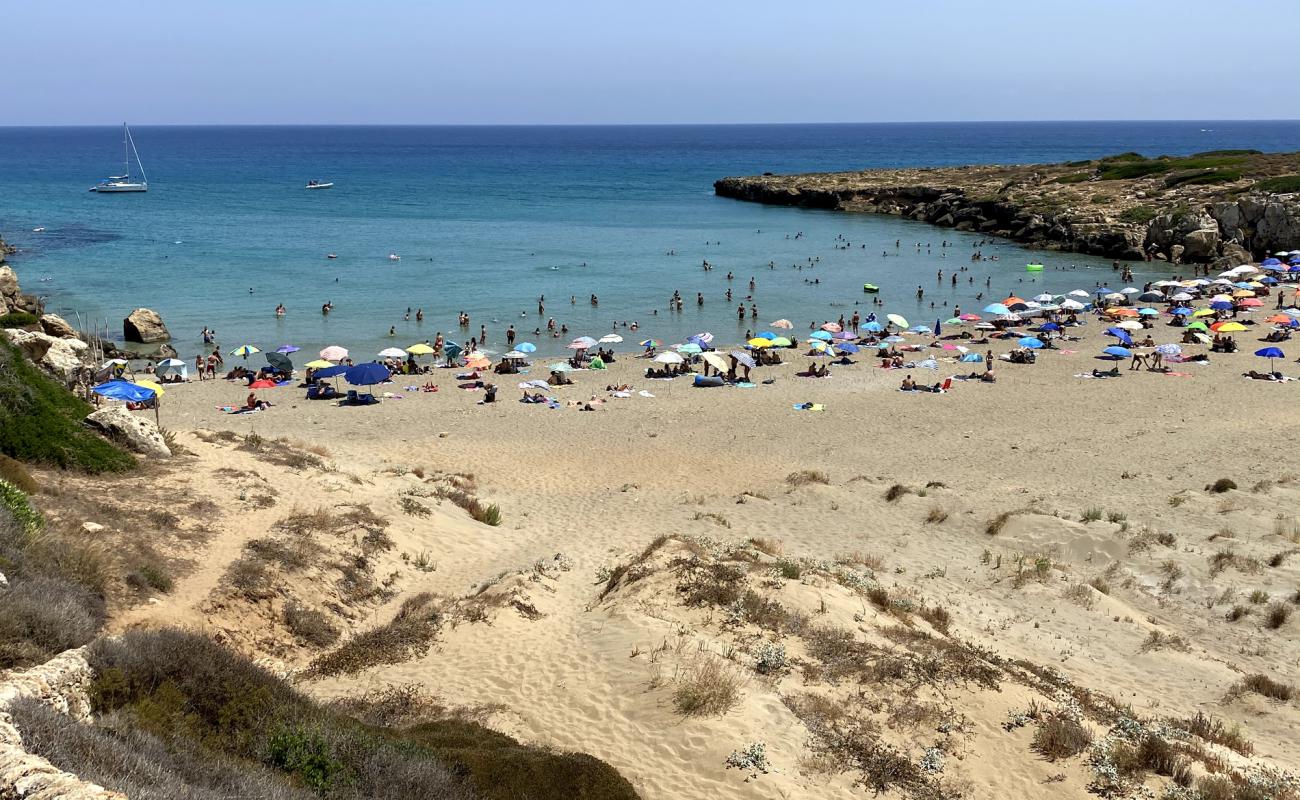 Photo de Spiaggia di Calamosche avec sable brun de surface