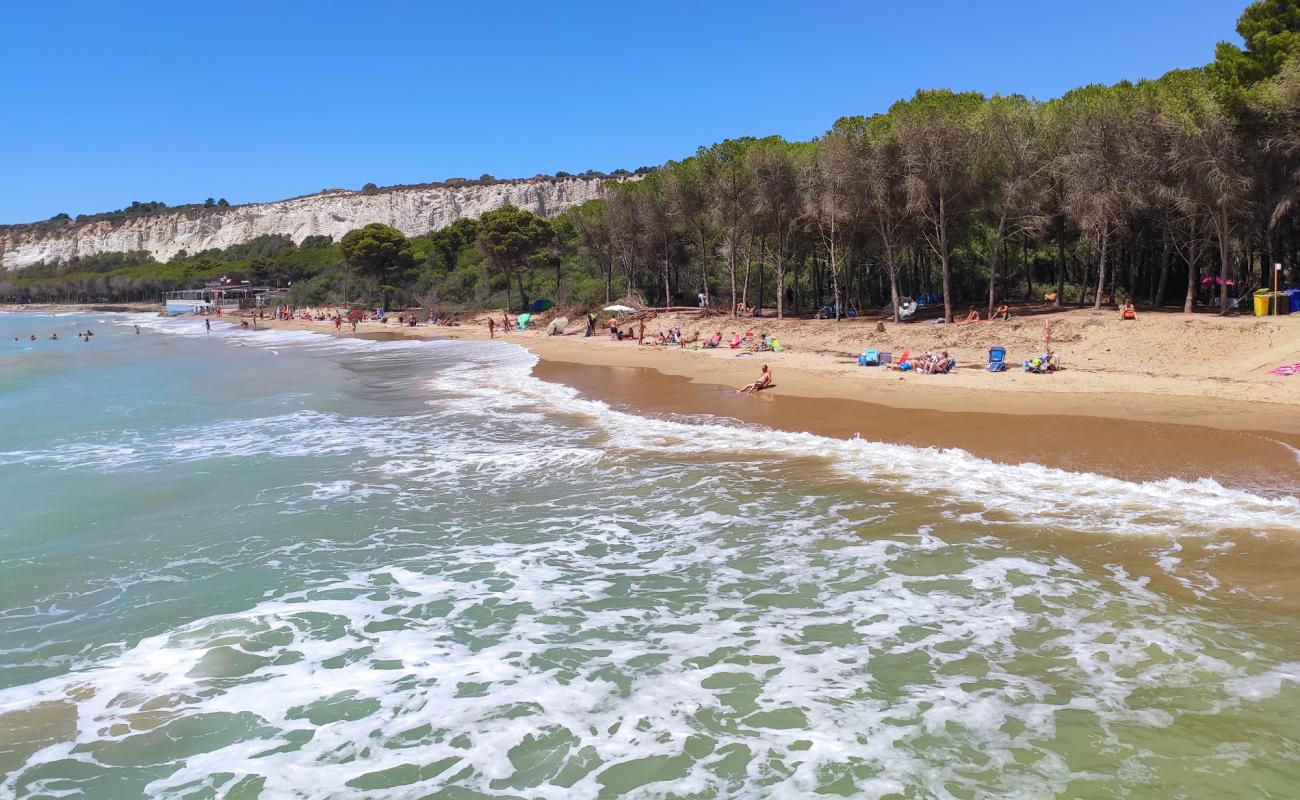 Photo de Spiaggia Di Eraclea Minoa avec sable lumineux de surface