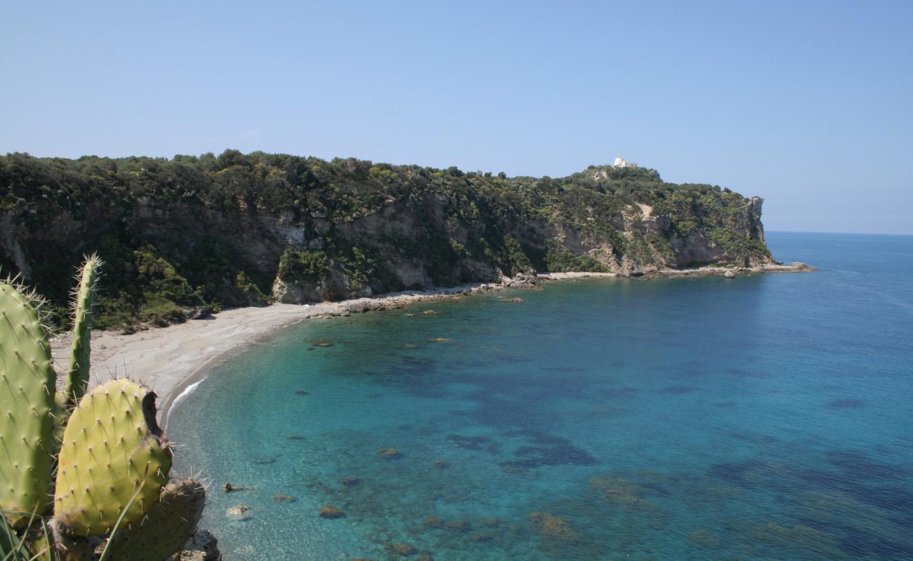 Photo de Renelle Bay avec petits galets gris de surface