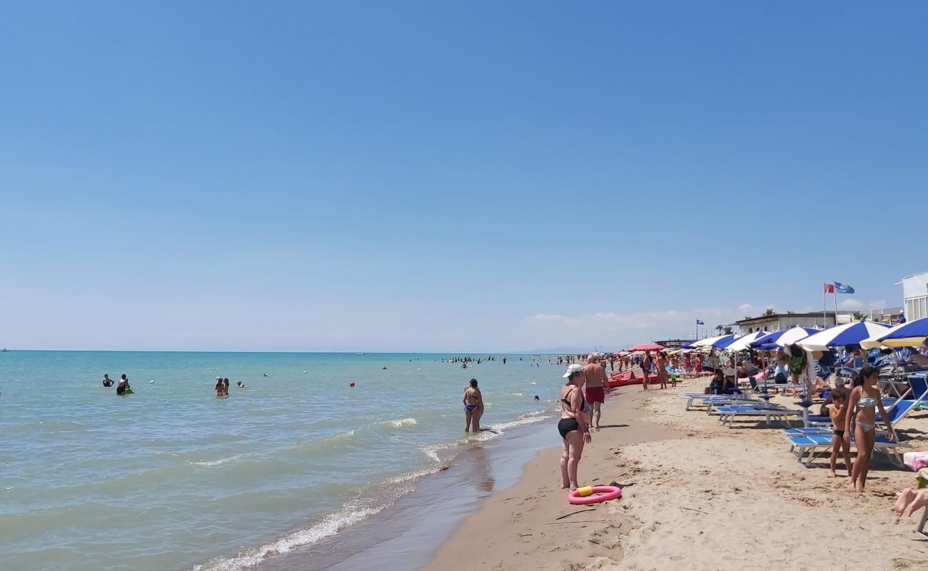 Photo de Metaponto Lido beach avec sable beige de surface