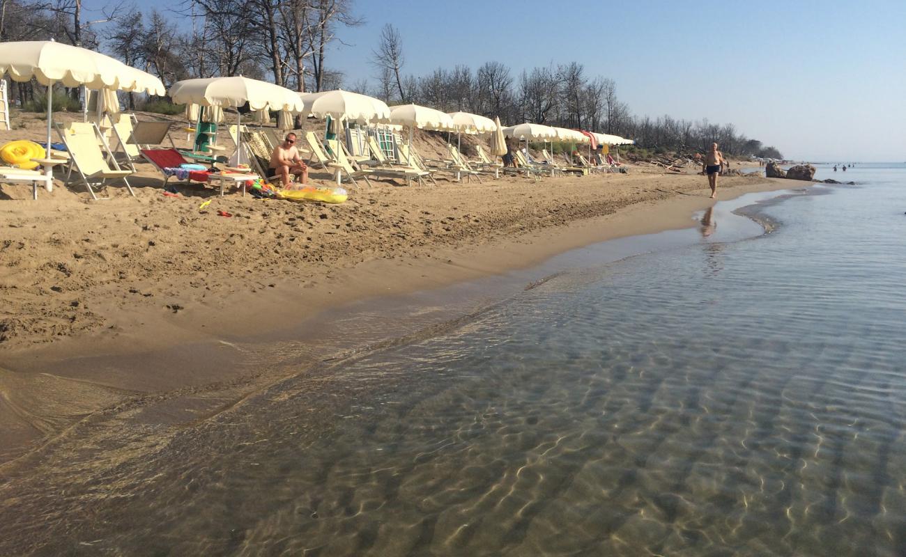 Photo de Spiaggia di Metaponto avec sable brun de surface