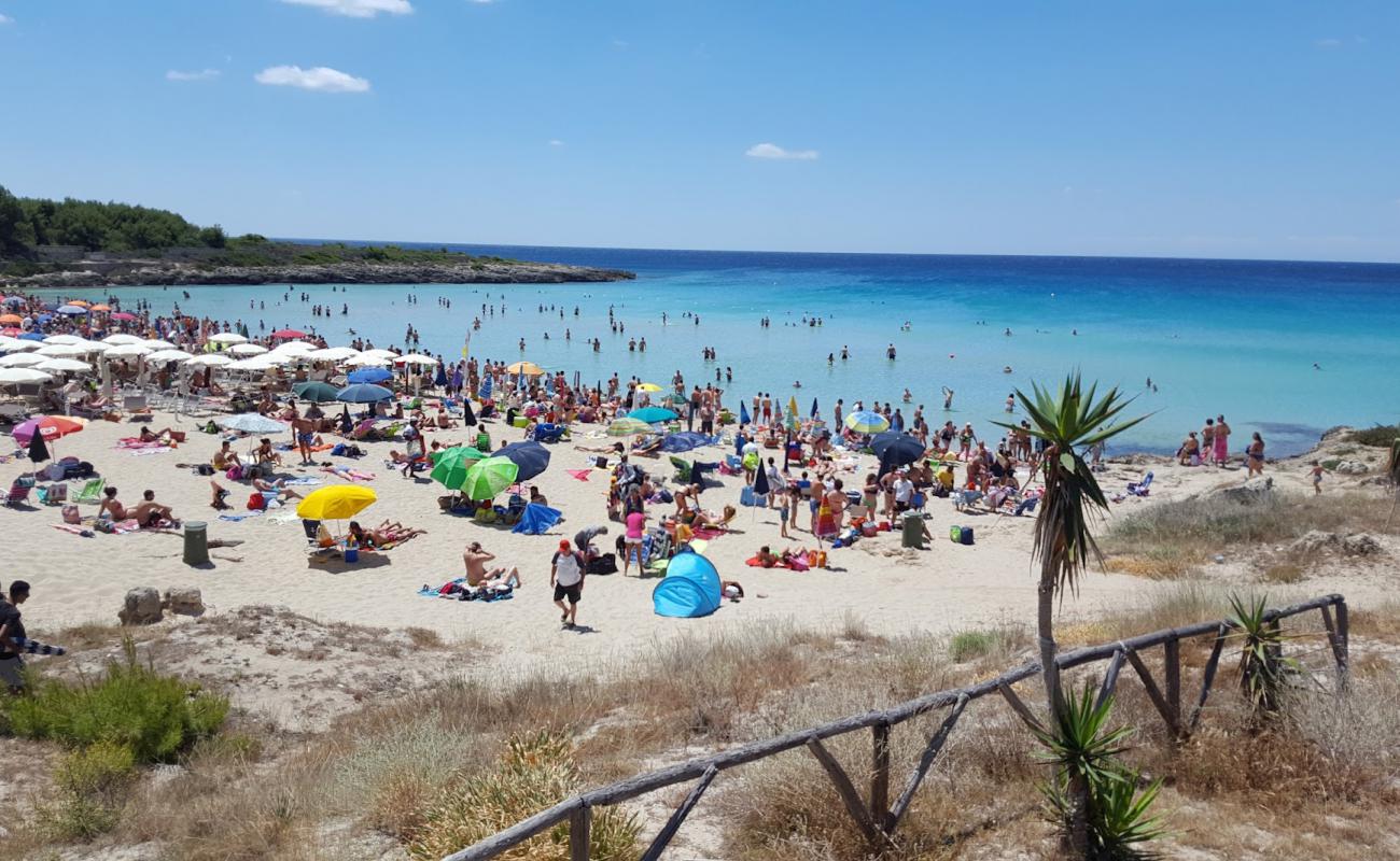 Photo de Spiaggia di Montedarena avec sable brun de surface