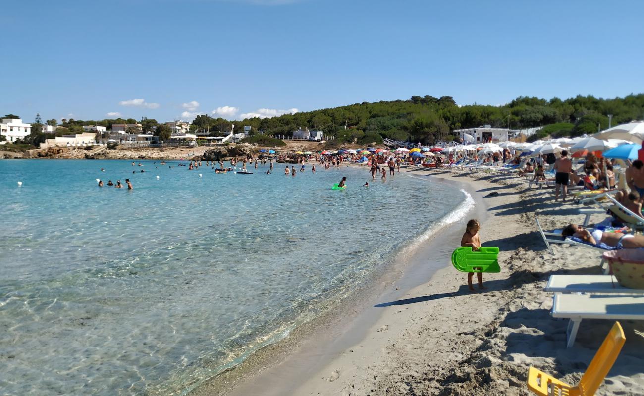 Photo de Spiaggia di Serrone avec sable fin brun de surface