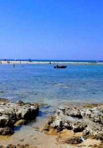 Île des Lapins
