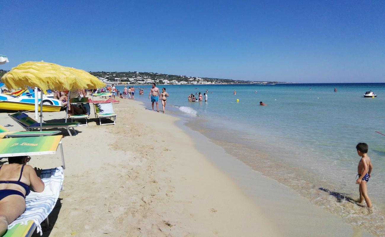 Photo de Plage de Pescoluse avec sable beige fin de surface