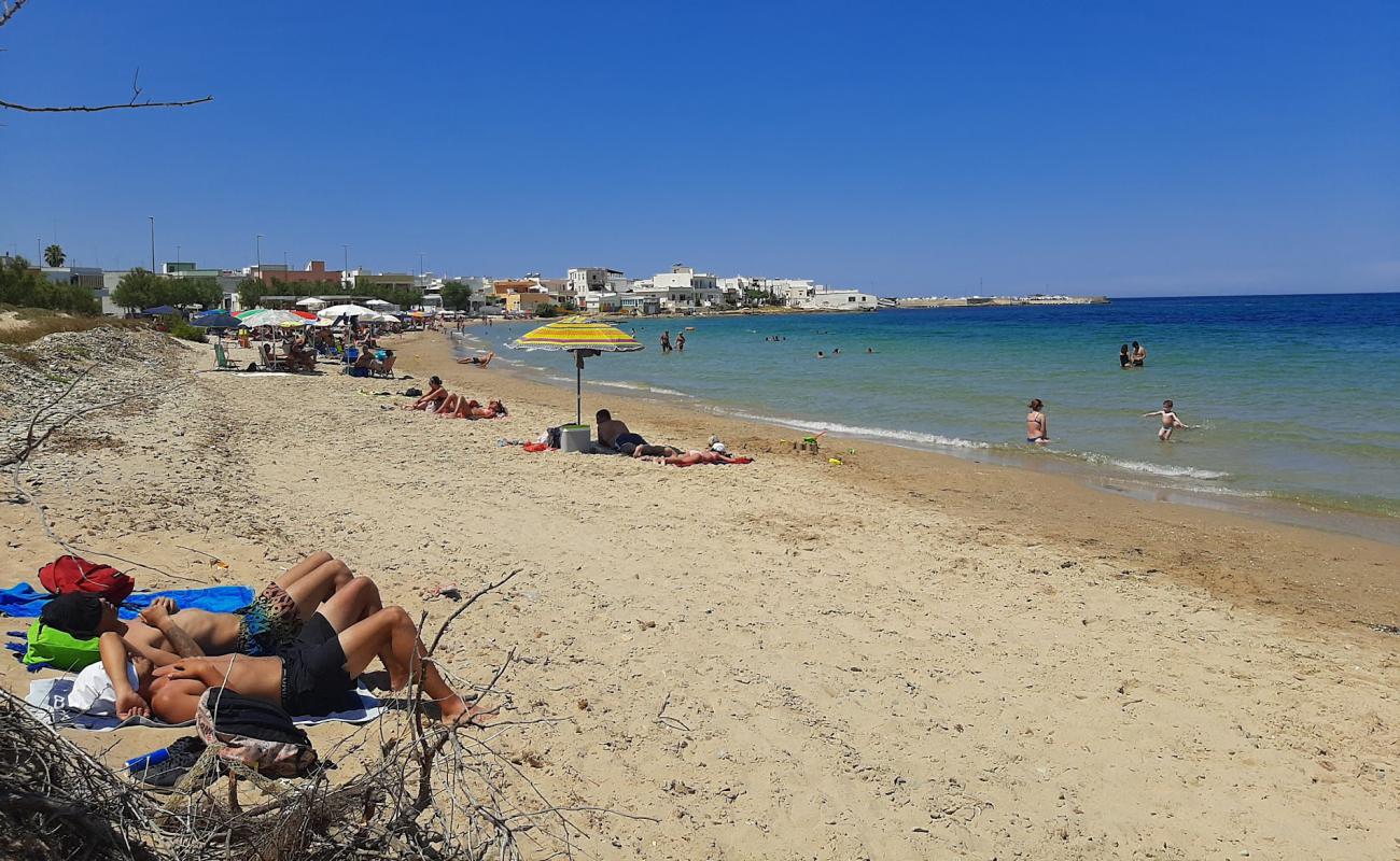 Photo de Spiaggia di Torre San Gennaro avec sable beige de surface