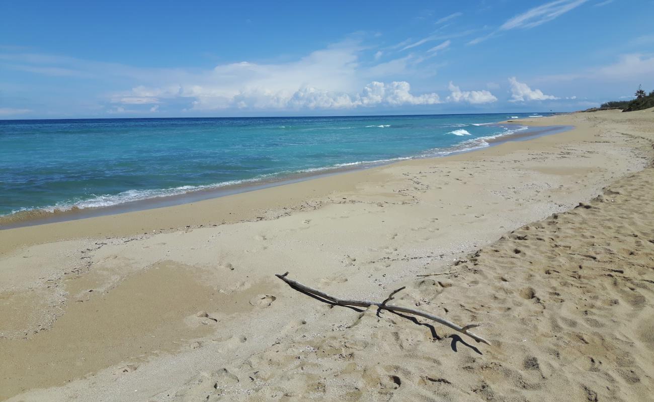 Photo de Lido Sunny Bay Beach avec sable beige de surface