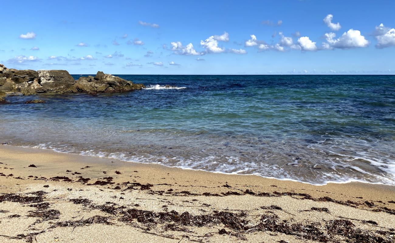 Photo de Cala Settanni beach avec sable beige de surface