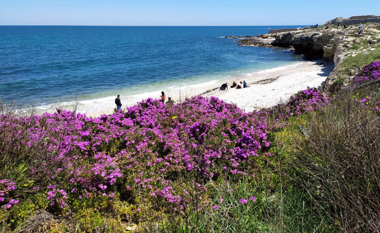 Photo de Ripalta beach avec galets gris de surface