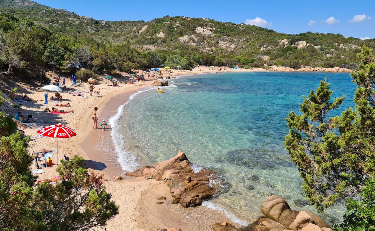 Photo de Spiaggia di Poltu Casu avec sable brun de surface