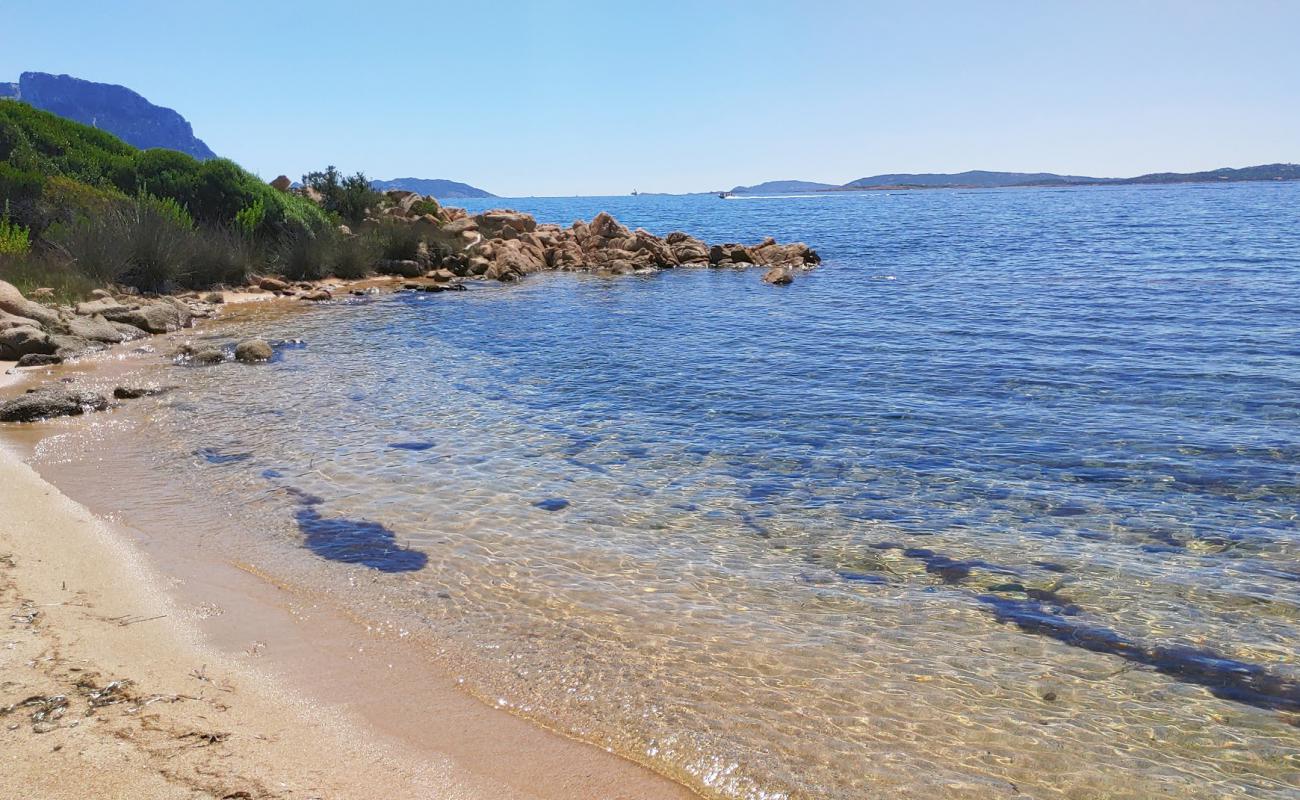 Photo de Spiaggetta della Calcatreppula avec sable brun de surface